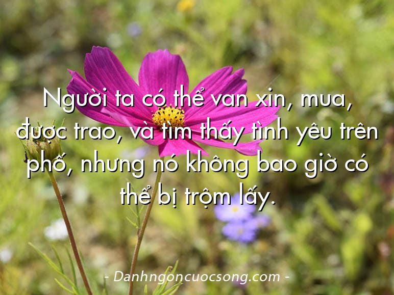 Người ta có thể van xin, mua, được trao, và tìm thấy tình yêu trên phố, nhưng nó không bao giờ có thể bị trộm lấy.