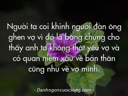 Người ta coi khinh người đàn ông ghen vợ vì đó là bằng chứng cho thấy anh ta không thật yêu vợ và có quan niệm xấu về bản thân cũng như về vợ mình.