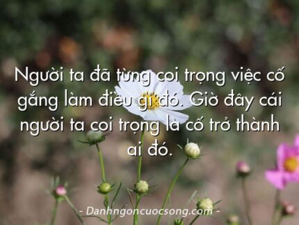 Người ta đã từng coi trọng việc cố gắng làm điều gì đó. Giờ đây cái người ta coi trọng là cố trở thành ai đó.