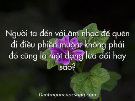 Người ta đến với âm nhạc để quên đi điều phiền muộn: không phải đó cũng là một dạng lừa dối hay sao?