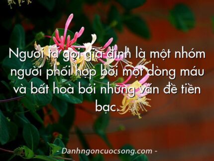 Người ta gọi gia đình là một nhóm người phối hợp bởi một dòng máu và bất hoà bởi những vấn đề tiền bạc.