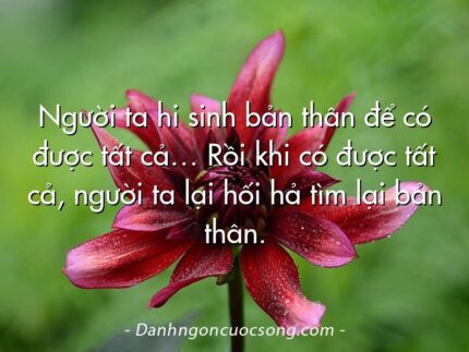 Người ta hi sinh bản thân để có được tất cả… Rồi khi có được tất cả, người ta lại hối hả tìm lại bản thân.