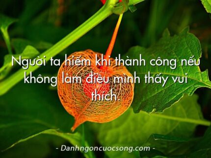 Người ta hiếm khi thành công nếu không làm điều mình thấy vui thích.