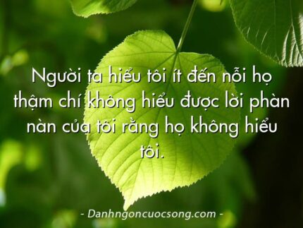 Người ta hiểu tôi ít đến nỗi họ thậm chí không hiểu được lời phàn nàn của tôi rằng họ không hiểu tôi.