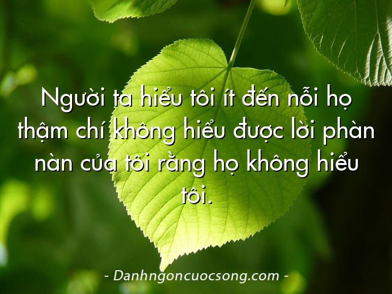 Người ta hiểu tôi ít đến nỗi họ thậm chí không hiểu được lời phàn nàn của tôi rằng họ không hiểu tôi.