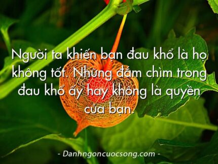 Người ta khiến bạn đau khổ là họ không tốt. Những đắm chìm trong đau khổ ấy hay không là quyền của bạn.