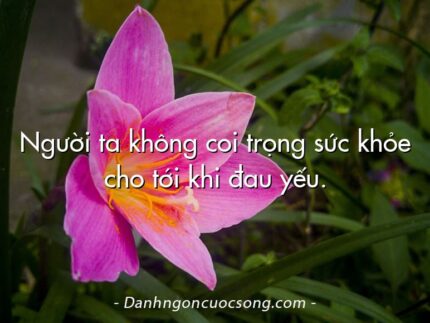 Người ta không coi trọng sức khỏe cho tới khi đau yếu.
