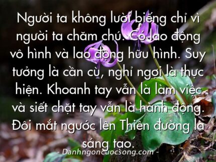 Người ta không lười biếng chỉ vì người ta chăm chú. Có lao động vô hình và lao động hữu hình. Suy tưởng là cần cù, nghỉ ngợi là thực hiện. Khoanh tay vẫn là làm việc và siết chặt tay vẫn là hành động. Đôi mắt ngước lên Thiên đường là sáng tạo.