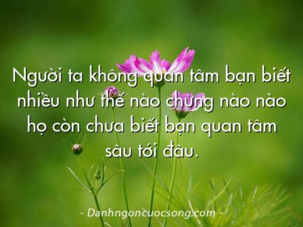 Người ta không quan tâm bạn biết nhiều như thế nào chừng nào nào họ còn chưa biết bạn quan tâm sâu tới đâu.