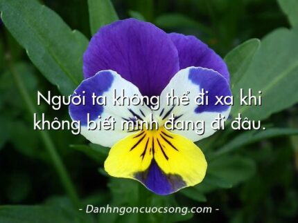 Người ta không thể đi xa khi không biết mình đang đi đâu.