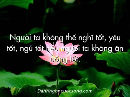 Người ta không thể nghĩ tốt, yêu tốt, ngủ tốt nếu người ta không ăn uống tốt.