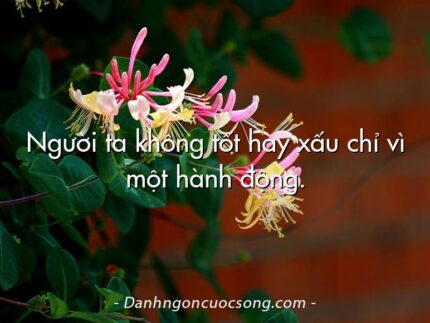 Người ta không tốt hay xấu chỉ vì một hành động.