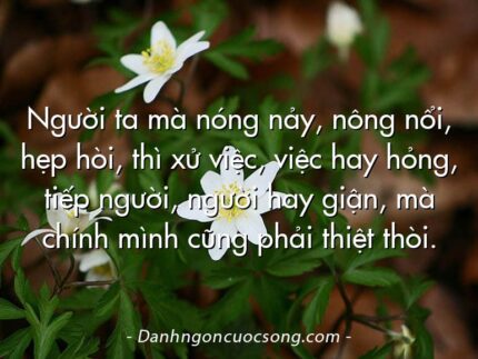 Người ta mà nóng nảy, nông nổi, hẹp hòi, thì xử việc, việc hay hỏng, tiếp người, người hay giận, mà chính mình cũng phải thiệt thòi.