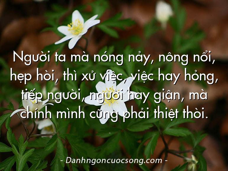 Người ta mà nóng nảy, nông nổi, hẹp hòi, thì xử việc, việc hay hỏng, tiếp người, người hay giận, mà chính mình cũng phải thiệt thòi.