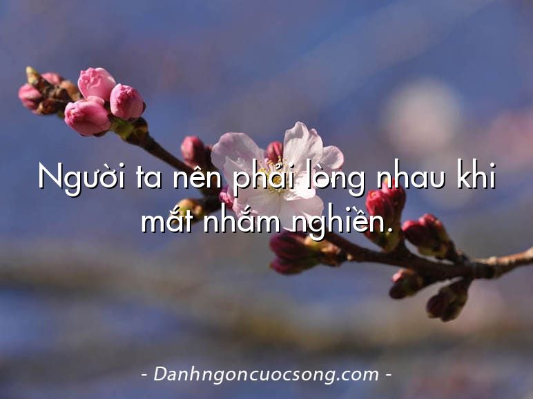 Người ta nên phải lòng nhau khi mắt nhắm nghiền.