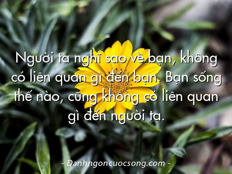Người ta nghĩ sao về bạn, không có liên quan gì đến bạn. Bạn sống thế nào, cũng không có liên quan gì đến người ta.