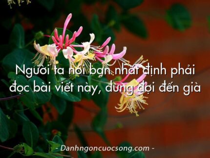 Người ta nói bạn nhất định phải đọc bài viết này, đừng đợi đến già