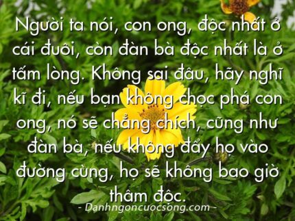 Người ta nói, con ong, độc nhất ở cái đuôi, còn đàn bà độc nhất là ở tấm lòng. Không sai đâu, hãy nghĩ kĩ đi, nếu bạn không chọc phá con ong, nó sẽ chẳng chích, cũng như đàn bà, nếu không đẩy họ vào đường cùng, họ sẽ không bao giờ thâm độc.