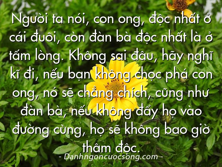 Người ta nói, con ong, độc nhất ở cái đuôi, còn đàn bà độc nhất là ở tấm lòng. Không sai đâu, hãy nghĩ kĩ đi, nếu bạn không chọc phá con ong, nó sẽ chẳng chích, cũng như đàn bà, nếu không đẩy họ vào đường cùng, họ sẽ không bao giờ thâm độc.