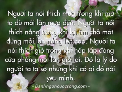 Người ta nói thích mưa trong khi mở to dù mỗi lần mưa đến. Người ta nói thích nắng trong khi lại tìm chỗ mát đứng mỗi lần nắng lên cao. Người ta nói thích gió trong khi hấp tấp đóng cửa phòng mỗi lần gió lại. Đó là lý do người ta ta sợ những khi có ai đó nói yêu mình.