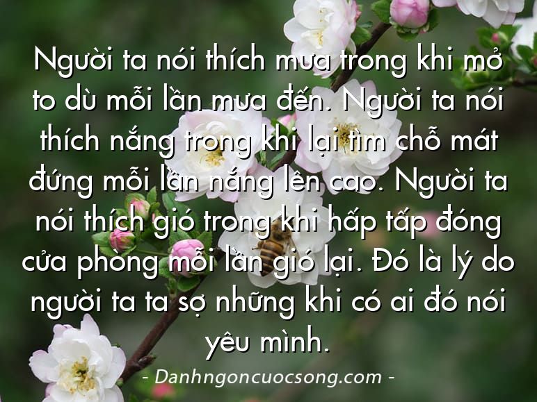 Người ta nói thích mưa trong khi mở to dù mỗi lần mưa đến. Người ta nói thích nắng trong khi lại tìm chỗ mát đứng mỗi lần nắng lên cao. Người ta nói thích gió trong khi hấp tấp đóng cửa phòng mỗi lần gió lại. Đó là lý do người ta ta sợ những khi có ai đó nói yêu mình.