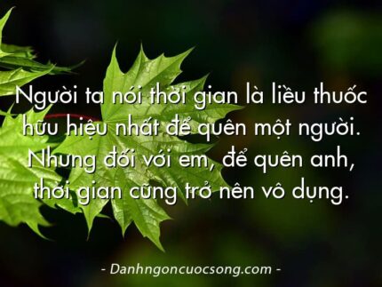 Người ta nói thời gian là liều thuốc hữu hiệu nhất để quên một người. Nhưng đối với em, để quên anh, thời gian cũng trở nên vô dụng.