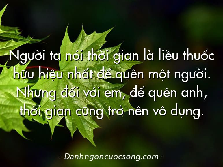 Người ta nói thời gian là liều thuốc hữu hiệu nhất để quên một người. Nhưng đối với em, để quên anh, thời gian cũng trở nên vô dụng.