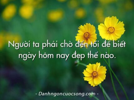 Người ta phải chờ đến tối để biết ngày hôm nay đẹp thế nào.
