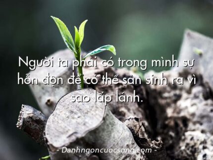 Người ta phải có trong mình sự hỗn độn để có thể sản sinh ra vì sao lấp lánh.