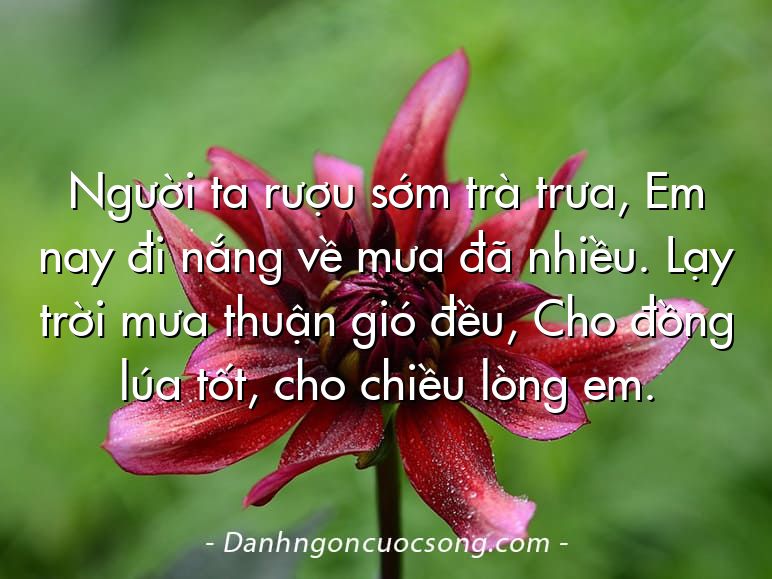 Người ta rượu sớm trà trưa, Em nay đi nắng về mưa đã nhiều. Lạy trời mưa thuận gió đều, Cho đồng lúa tốt, cho chiều lòng em.