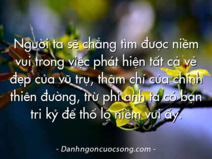 Người ta sẽ chẳng tìm được niềm vui trong việc phát hiện tất cả vẻ đẹp của vũ trụ, thậm chí của chính thiên đường, trừ phi anh ta có bạn tri kỷ để thổ lộ niềm vui ấy.