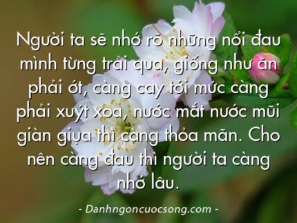 Người ta sẽ nhớ rõ những nổi đau mình từng trải qua, giống như ăn phải ớt, càng cay tới mức càng phải xuýt xoa, nước mắt nước mũi giàn giụa thì càng thỏa mãn. Cho nên càng đau thì người ta càng nhớ lâu.