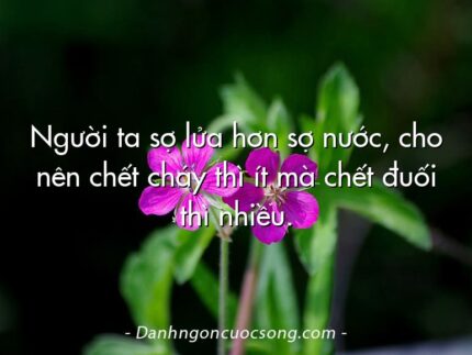 Người ta sợ lửa hơn sợ nước, cho nên chết cháy thì ít mà chết đuối thì nhiều.