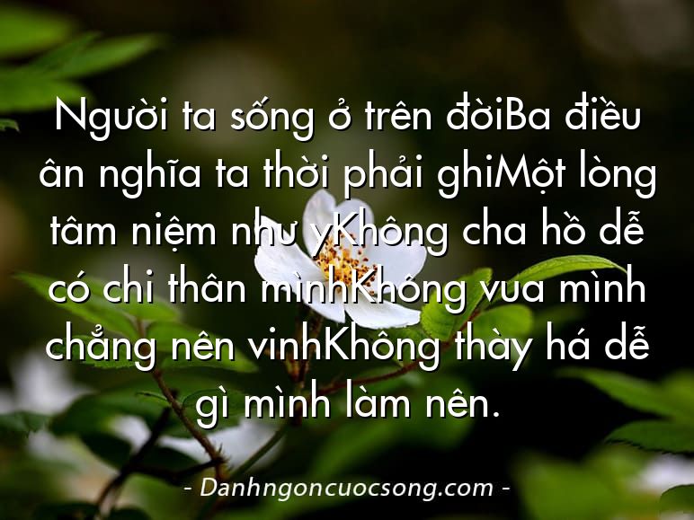 Người ta sống ở trên đờiBa điều ân nghĩa ta thời phải ghiMột lòng tâm niệm như yKhông cha hồ dễ có chi thân mìnhKhông vua mình chẳng nên vinhKhông thày há dễ gì mình làm nên.