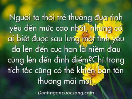 Người ta thời trẻ thường đưa tình yêu đến mức cao nhất, nhưng có ai biết được sau lưng một tình yêu đã lên đến cực hạn là niềm đau cũng lên đến đỉnh điểm?Chỉ trong tích tắc cũng có thể khiến bạn tổn thương mãi mãi.