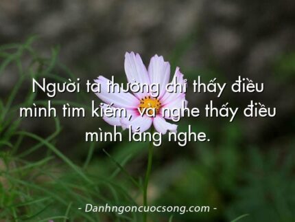 Người ta thường chỉ thấy điều mình tìm kiếm, và nghe thấy điều mình lắng nghe.