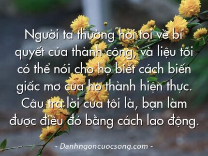 Người ta thường hỏi tôi về bí quyết của thành công, và liệu tôi có thể nói cho họ biết cách biến giấc mơ của họ thành hiện thực. Câu trả lời của tôi là, bạn làm được điều đó bằng cách lao động.