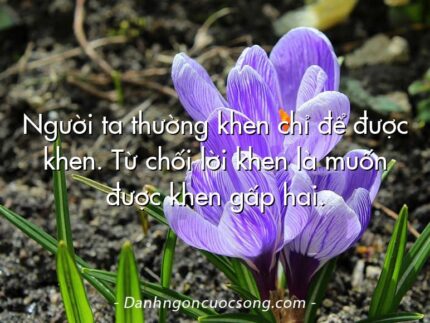Người ta thường khen chỉ để được khen. Từ chối lời khen là muốn được khen gấp hai.