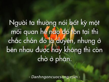 Người ta thường nói bất kỳ một mối quan hệ nào đó tồn tại thì chắc chắn đó là duyên, nhưng ở bên nhau được hay không thì còn chờ ở phận.