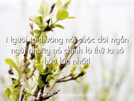 Người ta thường nói cuộc đời ngắn ngủi nhưng nó chính là thứ ta sở hữu lâu nhất!