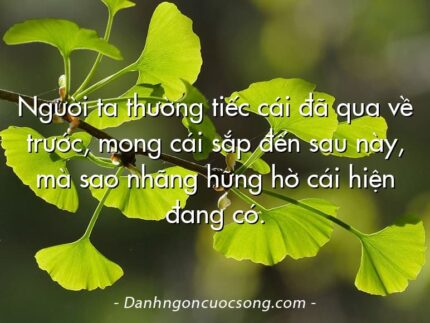 Người ta thường tiếc cái đã qua về trước, mong cái sắp đến sau này, mà sao nhãng hững hờ cái hiện đang có.