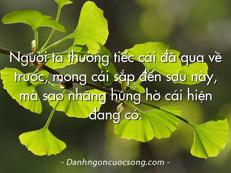 Người ta thường tiếc cái đã qua về trước, mong cái sắp đến sau này, mà sao nhãng hững hờ cái hiện đang có.