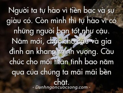 Người ta tự hào vì tiền bạc và sự giàu có. Còn mình thì tự hào vì có những người bạn tốt như cậu. Năm mới, chúc cho cậu và gia đình an khang thịnh vượng. Cầu chúc cho mối thân tình bao năm qua của chúng ta mãi mãi bền chặt.