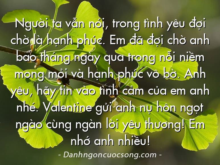 Người ta vẫn nói, trong tình yêu đợi chờ là hạnh phúc. Em đã đợi chờ anh bao tháng ngày qua trong nỗi niềm mong mỏi và hạnh phúc vô bờ. Anh yêu, hãy tin vào tình cảm của em anh nhé. Valentine gửi anh nụ hôn ngọt ngào cùng ngàn lời yêu thương! Em nhớ anh nhiều!