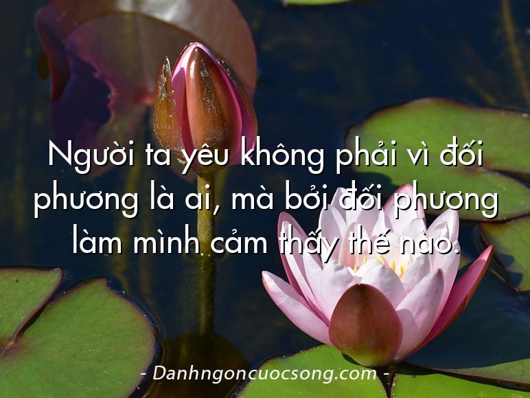 Người ta yêu không phải vì đối phương là ai, mà bởi đối phương làm mình cảm thấy thế nào.