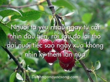 Người ta yêu nhau ngay từ cái nhìn đầu tiên, rồi sau đó lại thở dài nuối tiếc sao ngày xưa không nhìn kỹ thêm lần nữa