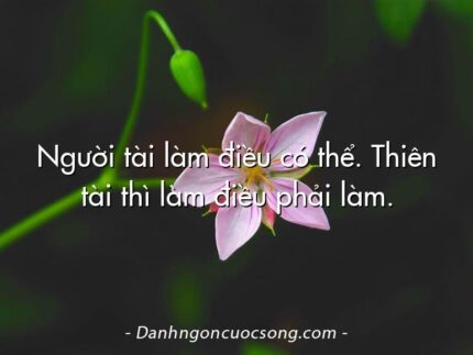Người tài làm điều có thể. Thiên tài thì làm điều phải làm.