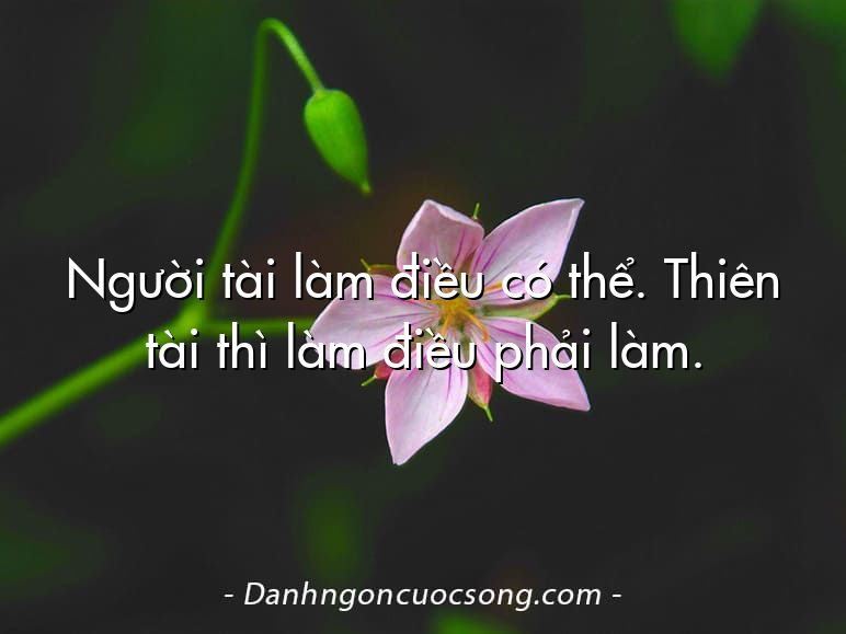 Người tài làm điều có thể. Thiên tài thì làm điều phải làm.