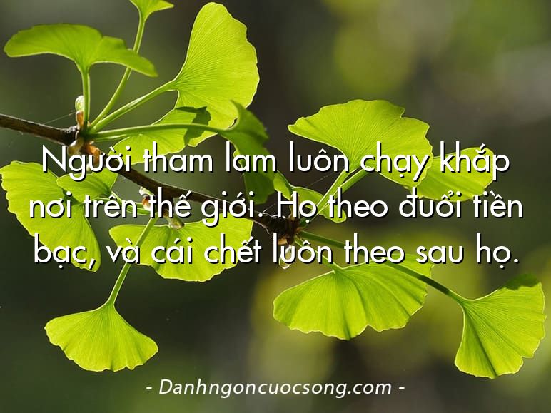 Người tham lam luôn chạy khắp nơi trên thế giới. Họ theo đuổi tiền bạc, và cái chết luôn theo sau họ.