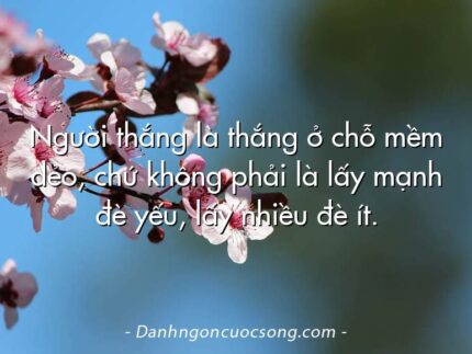 Người thắng là thắng ở chỗ mềm dẻo, chứ không phải là lấy mạnh đè yếu, lấy nhiều đè ít.